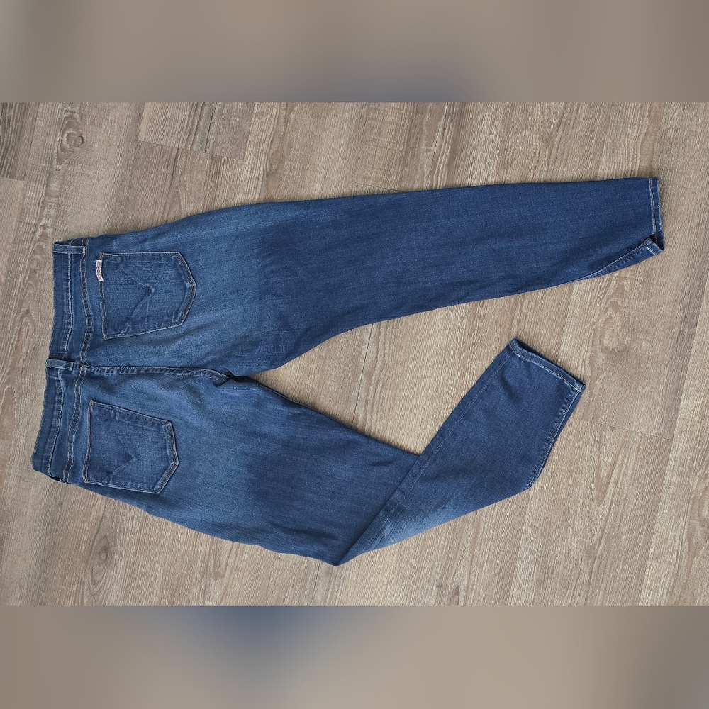 Hudson jeans distressed size 31